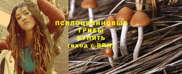 меф Новодвинск