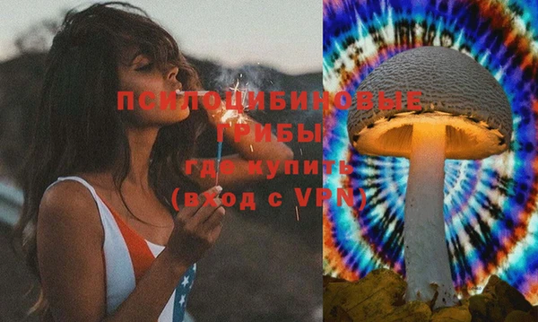 герыч Новозыбков