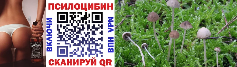 Купить  Мариинский Посад  Галлюциногенные грибы Cubensis 